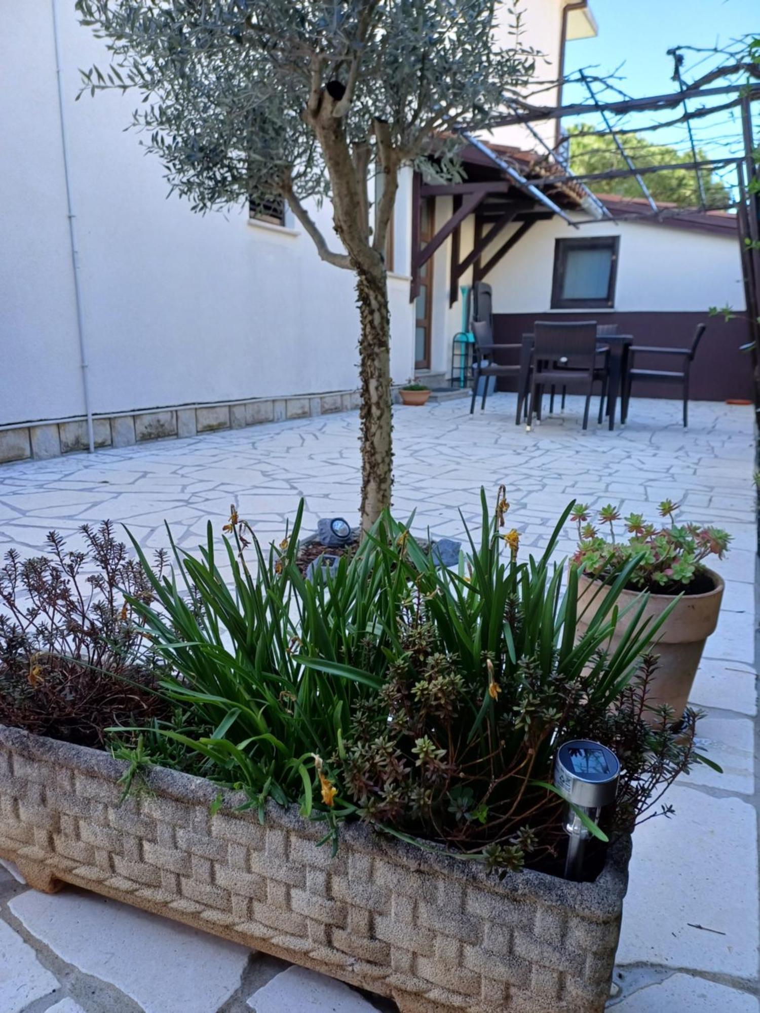 Grahovac Apartmán