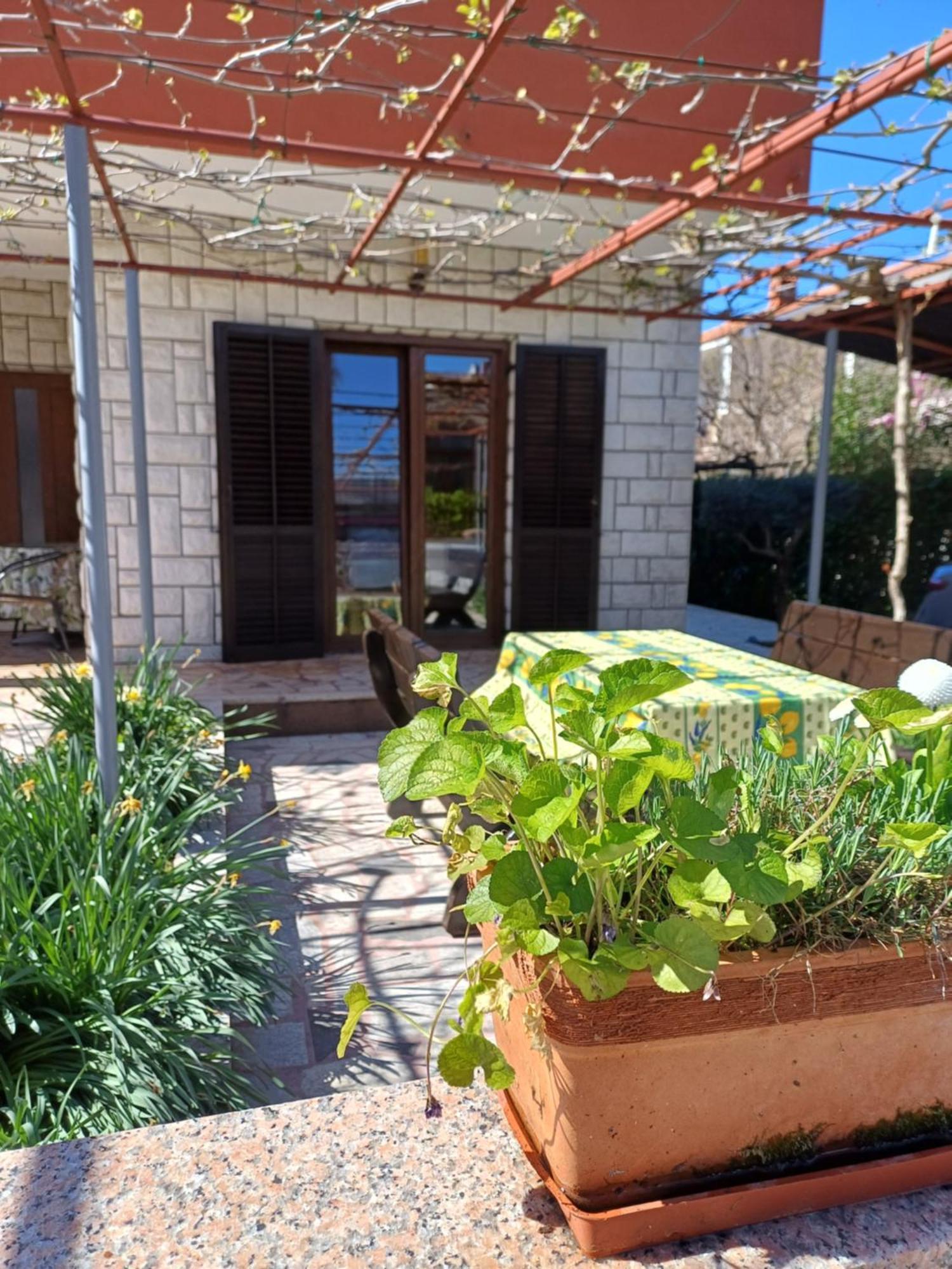 Grahovac Apartmán *